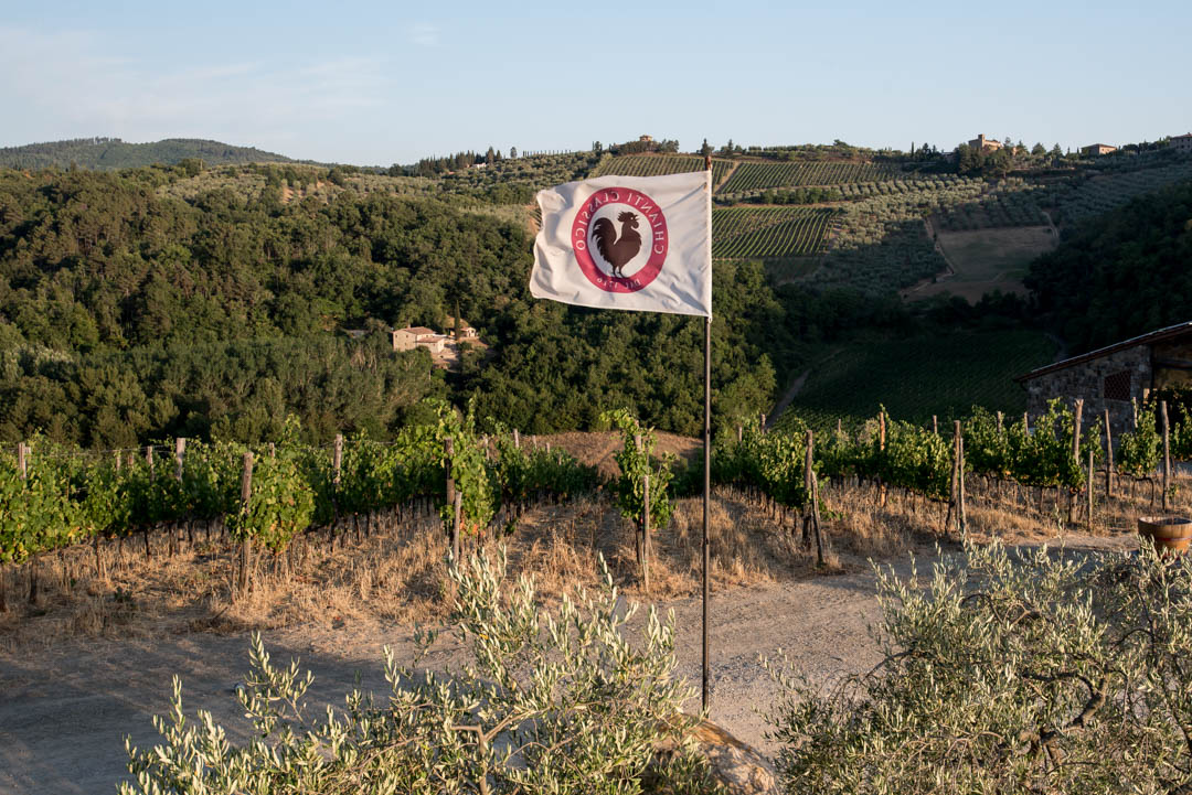 Hawkesmill-Chianti-Italy