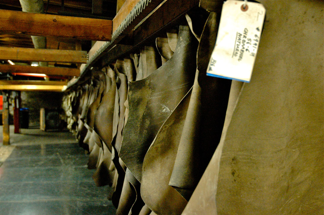 Horween Chromexcel Tanning Process Leather Camera Straps Drying