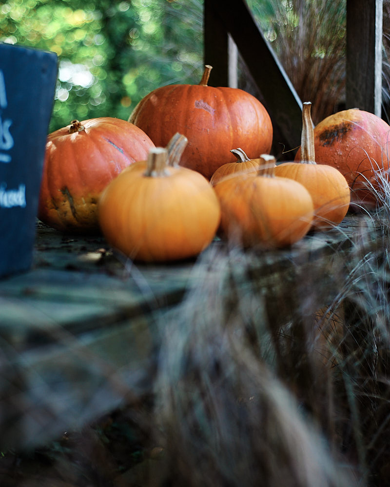 Pumpkins at Sissinghurst Castle. Taken with the Nikon D700 with 50mm f1.8 AF-D Lens