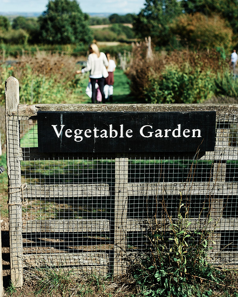 Vegetable Garden - Nikon D700 with 50mm f1.8 AF-D Lens