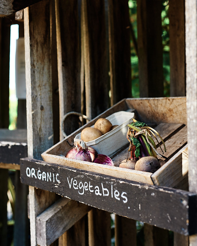Organic Vegetables - Nikon D700 with 50mm f1.8 AF-D Lens